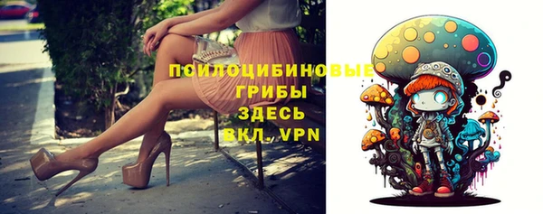 PSILOCYBIN Нея
